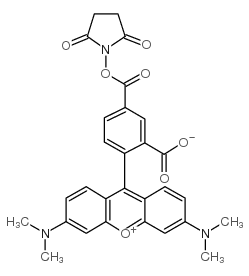 5-羧基四甲基罗丹明琥珀酰亚胺酯