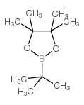 叔丁基硼酸频那醇酯