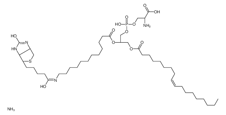 1-oleoyl-2-(12-biotinyl(aminododecanoyl))-sn-glycero-3-phospho-L-serine (ammonium salt)