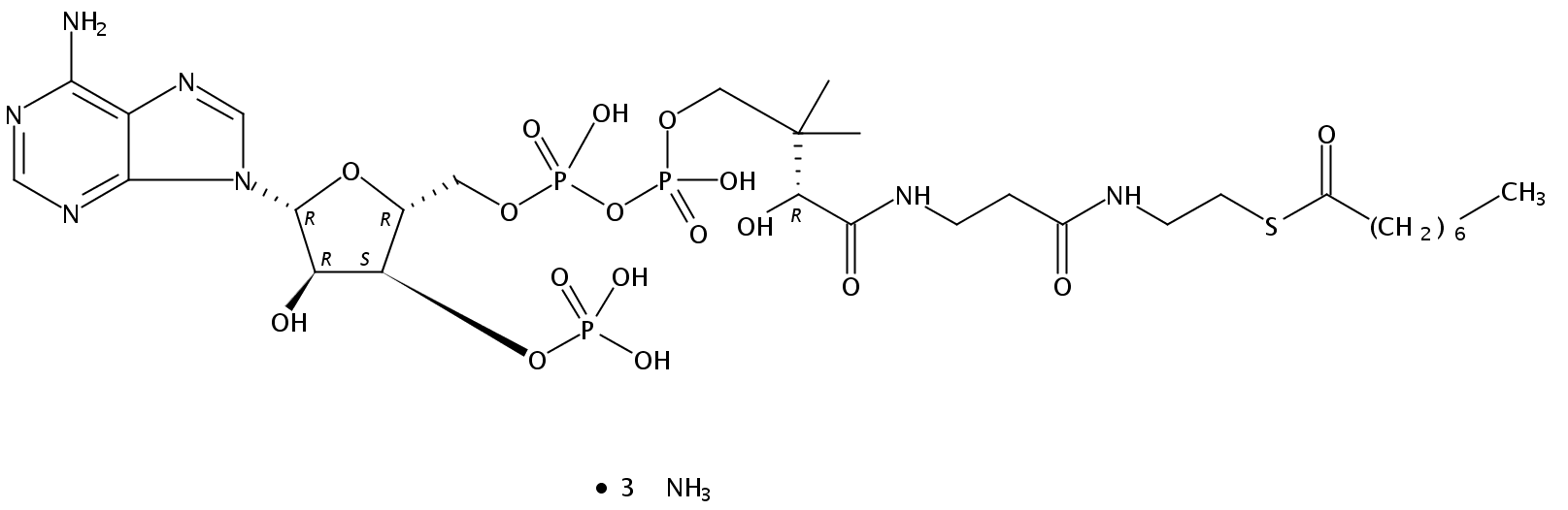 octanoyl Coenzyme A (ammonium salt)