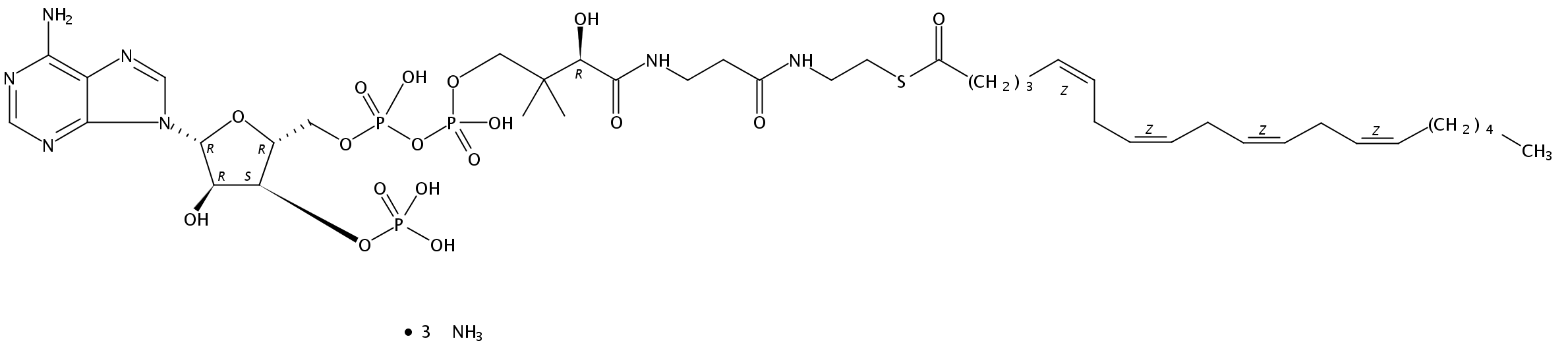 (5Z,8Z,11Z,14Z-eicosatetraenoyl) Coenzyme A (ammonium salt)
