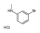 N-METHYL 3-BROMOANILINE, HCL