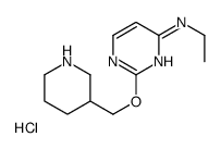 N-Ethyl-2-(piperidin-3-ylmethoxy)pyrimidin-4-amine hydrochloride