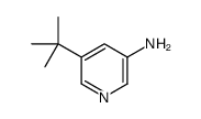 5-叔丁基吡啶-3-胺