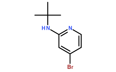 4-溴-2-(N-叔丁氨基)吡啶