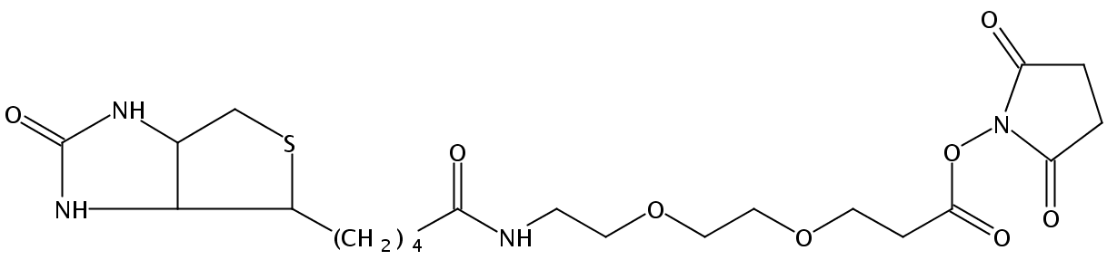 9-BiotinlaMino-4,7-dioxanonanoic acid N-hydroxysucciniMidyl ester