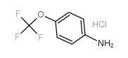 4-三氟甲氧基苯胺盐酸盐