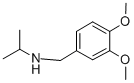 N-[(3,4-dimethoxyphenyl)methyl]propan-2-amine