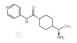 (R)-(+)-trans-4-(1-Aminoethyl)-N-(4-Pyridyl)cyclohexanecarboxamide dihydrochloride