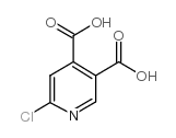 6-氯吡啶-3,4-二甲酸