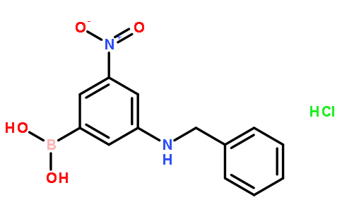 3-苄氨基-5-硝基苯硼酸盐酸盐