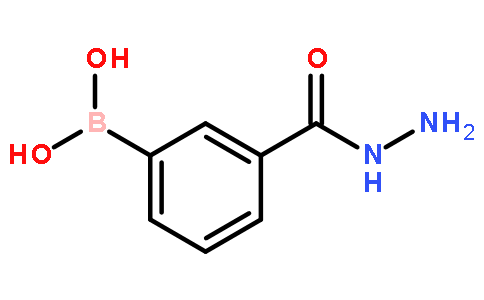 3-硼苯酰肼
