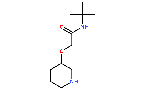 N-叔丁基-2-(3-氧基哌啶)乙酰胺