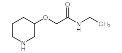 N-乙基-2-(3-哌啶氧基)乙酰胺