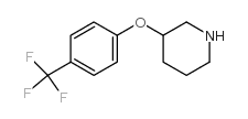 3-[4-(三氟甲基)苯氧基]哌啶