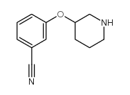 3-(3-哌啶氧基)苯甲腈