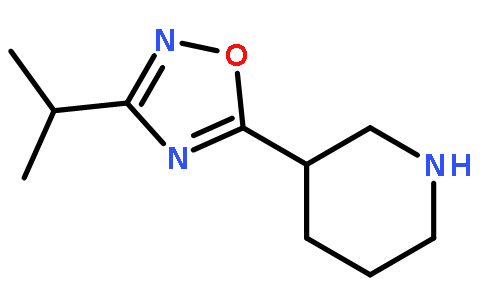 3-(3-异丙基-1,2,4-二唑-5-基)哌啶