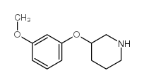 3-(3-甲氧基苯氧基)哌啶