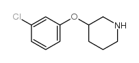 3-(3-氯苯氧基)哌啶