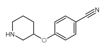 4-哌啶-3-氧基苯腈
