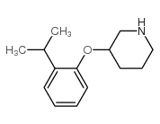 3-(2-异丙基苯氧基)哌啶