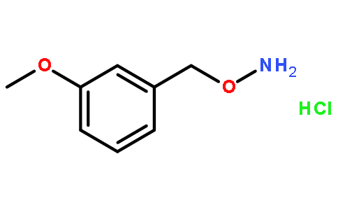 3-甲氧基苄氧胺盐酸盐