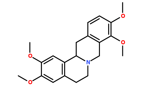 右旋四氫巴馬汀