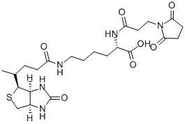 N-(3-马来酰亚胺丙酰基)生物胞素