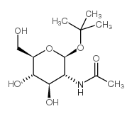 TERT-BUTYL 2-ACETAMIDO-2-DEOXY-β-D-GLUCOPYRANOSIDE