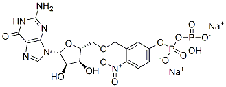 Guanosine5'-(trihydrogen diphosphate), P'-[1-(2-nitrophenyl)ethyl] ester (9CI)