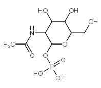 N-乙酰葡糖胺-1-磷酸