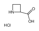 (R)-氮杂丁烷-2-羧酸盐酸盐