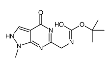 tert-butyl N-[(1-methyl-4-oxo-2H-pyrazolo[3,4-d]pyrimidin-6-yl)methyl]carbamate