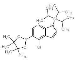 4-氯-1-(三异丙基甲硅烷基)-1H-吡咯并[2,3-b]吡啶-5-硼酸频那醇酯