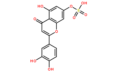 木犀草素-7-硫酸酯