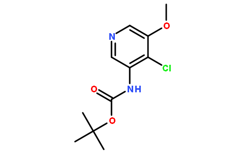 4-氯-5-甲氧基吡啶-3-氨基甲酸叔丁酯