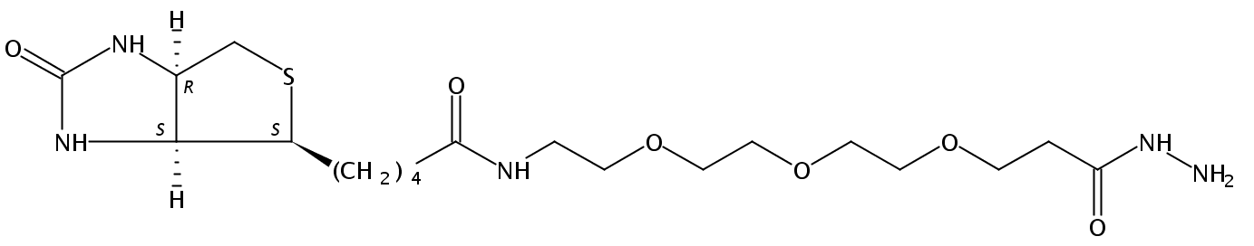 (+)-Biotin-PEG3-NHNH2