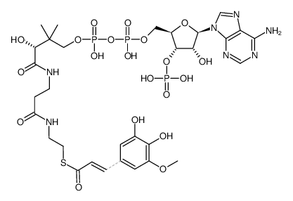 5-hydroxyferuloyl-CoA