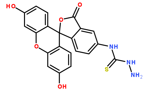 荧光素-5-氨基硫脲