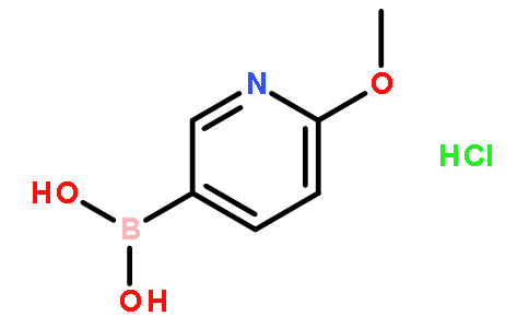 2-甲氧基-5-吡啶硼酸盐酸盐