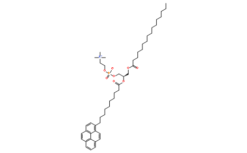 β-Py-C<sub>10</sub>-HPC [1-Hexadecanoyl-2-(1-Pyrenedecanoyl)-sn-Glycero-3-Phosphocholine]