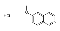 6-甲氧基異喹啉鹽酸鹽