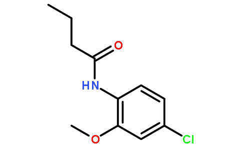 N-(4-氯-2-甲氧基苯基)-丁酰胺