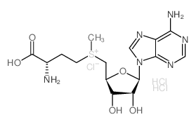 S-(5'-Adenosyl)-L-methionine chloride (hydrochloride)