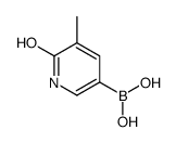 (5-methyl-6-oxo-1H-pyridin-3-yl)boronic acid