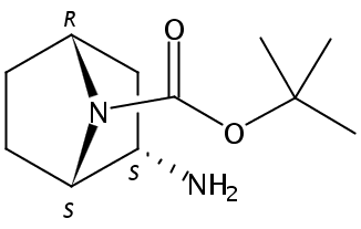 (1R,2R,4S)-rel-tert-Butyl 2-amino-7-azabicyclo[2.2.1]heptane-7-carboxylate
