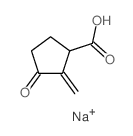 Cyclopentanecarboxylicacid, 2-methylene-3-oxo-, sodium salt (1:1)