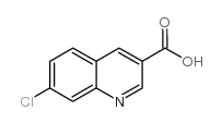 7-氯喹啉-3-甲酸