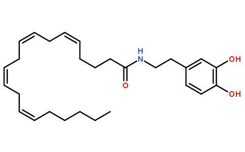 N-花生四烯酰多巴胺