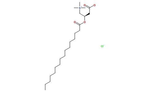 L-氯化棕榈酰肉碱